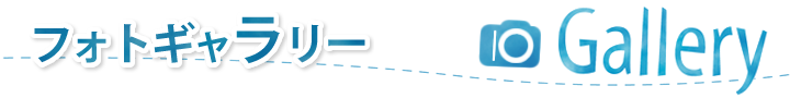フォトギャラリー